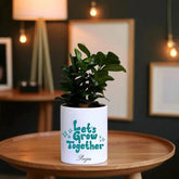 Low maintenance Ficus Compacta Bonsai in custom pot with name 'Pooja', perfect for gifting and enhancing modern indoor spaces.